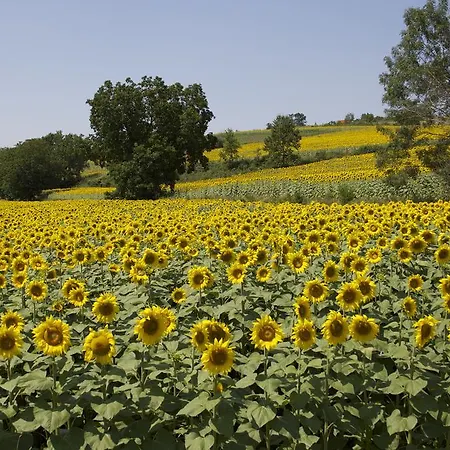 Manoir La Breuille * Montmoreau